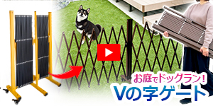 youtube_SXG0730